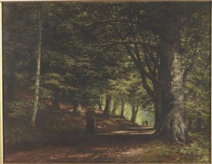 Beech Avenue, Inverary, 1876